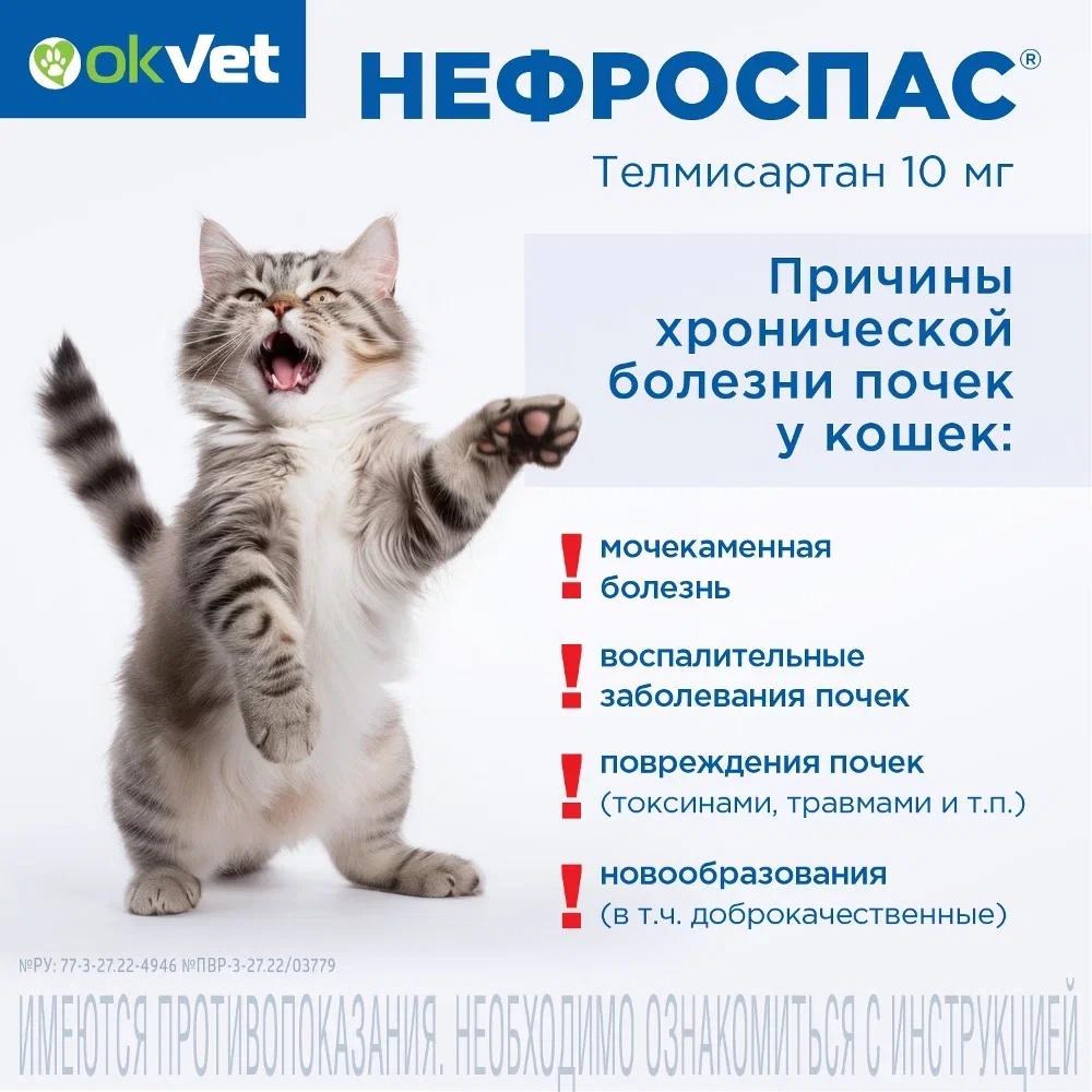 Нефроспас суспензия для кошек 25 мл 5