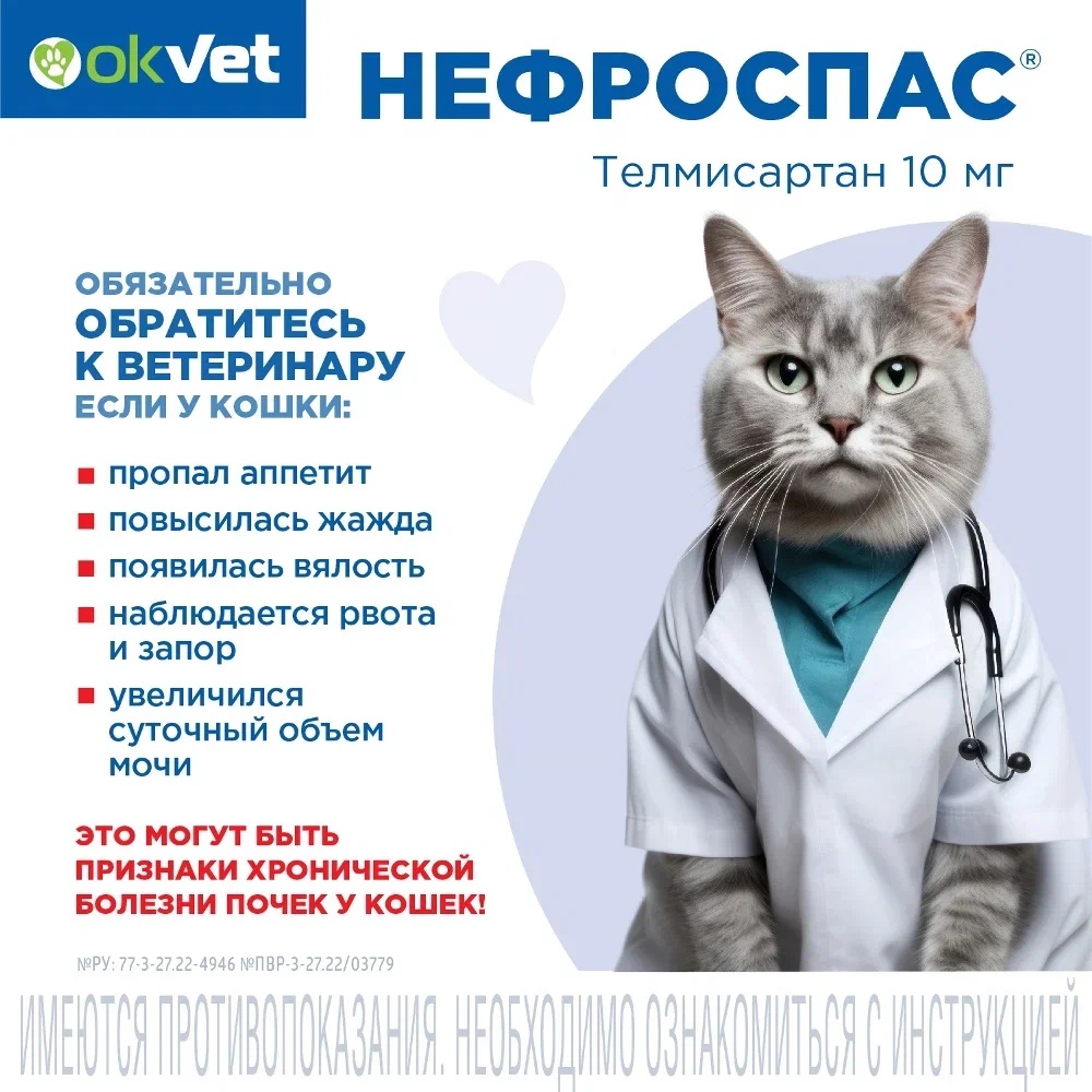 Нефроспас суспензия для кошек 25 мл 8