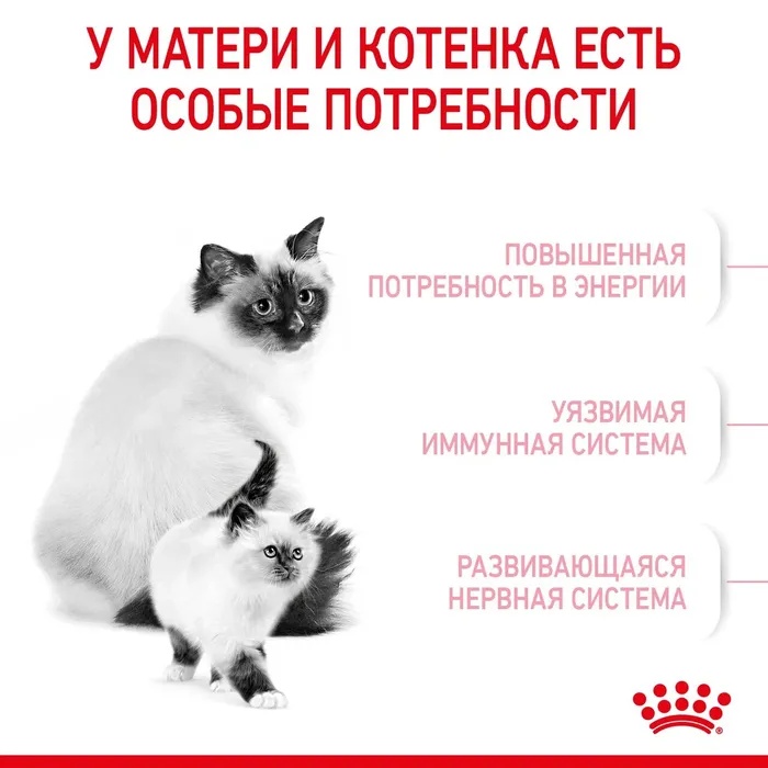 Royal Canin Mother & Babycat для котят 6