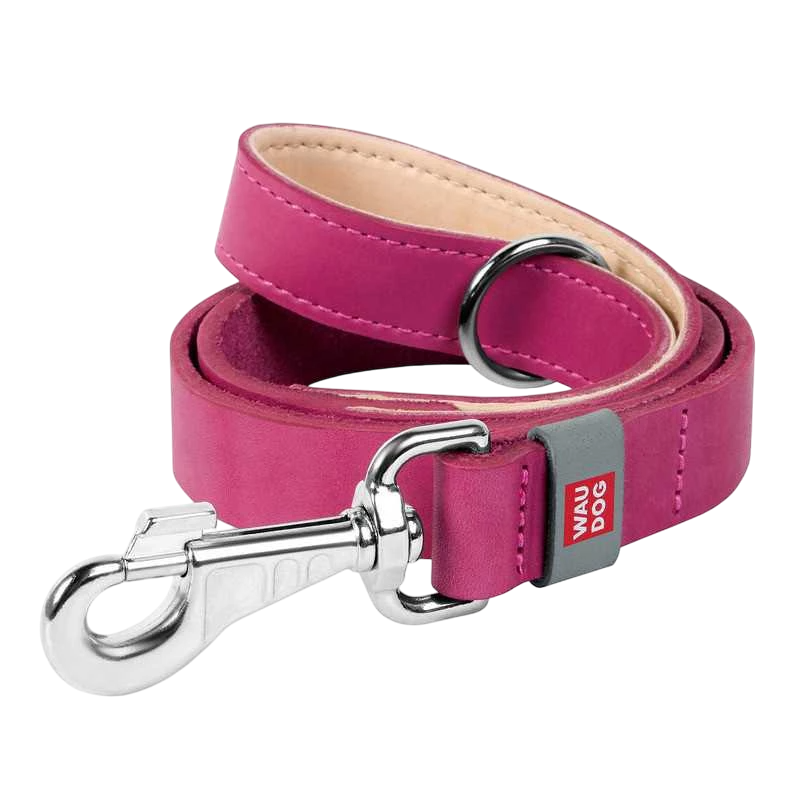 Поводок Collor WAUDOG Classic цвет в ассортименте 20 мм 122 см для собак 4