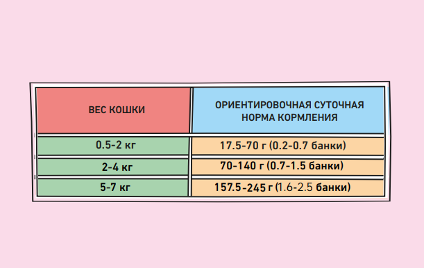 ZILLII Kitten Индейка консерва для котят 100 г 2