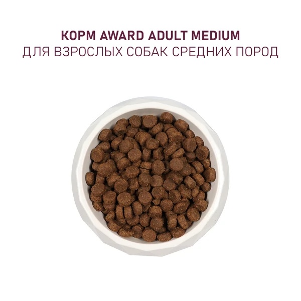 Award Dog Adult Medium Индейка/Курица/Морковь/Черная смородина для собак 5