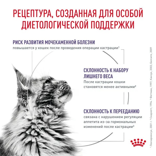 Royal Canin Neutered Balance в соусе пауч для кошек 85 г 2