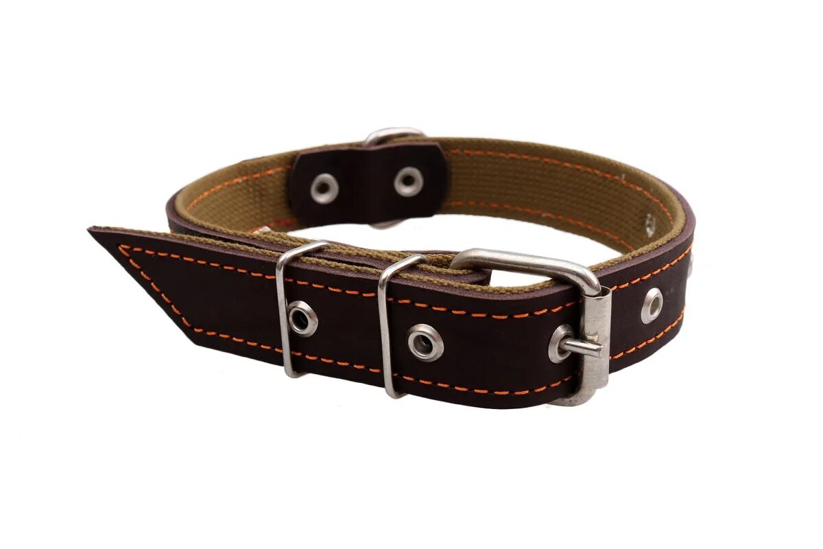Ошейник Rich Breed №20 кожа на брезенте 1/2 для собак 36 см