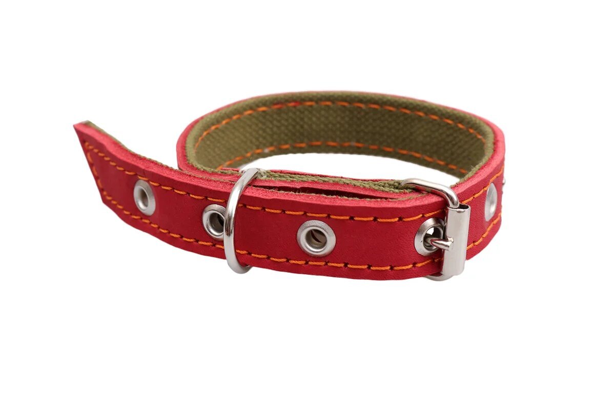 Ошейник Rich Breed №20 кожа на брезенте усиленный для собак 36 см