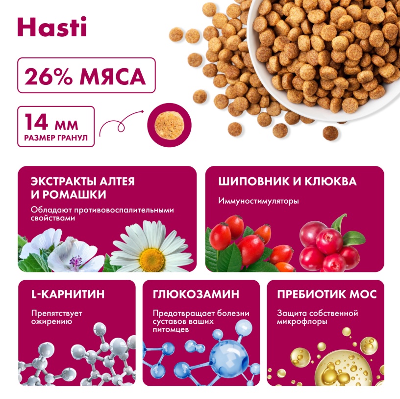 Hasti Adult All breeds Ягненок для собак 2