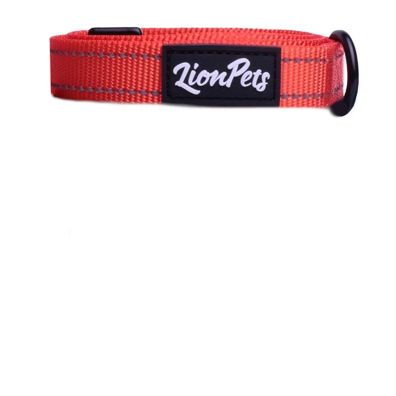 Ошейник Lion полиэстер/неопрен LPO-00510 оранжевый 25-40 см для собак S