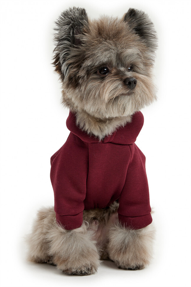 Толстовка Lion Prosecco LPK-0434 бордовая для собак 2
