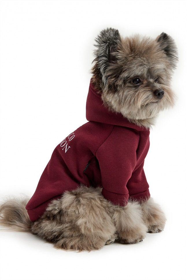Толстовка Lion Prosecco LPK-0434 бордовая для собак 3