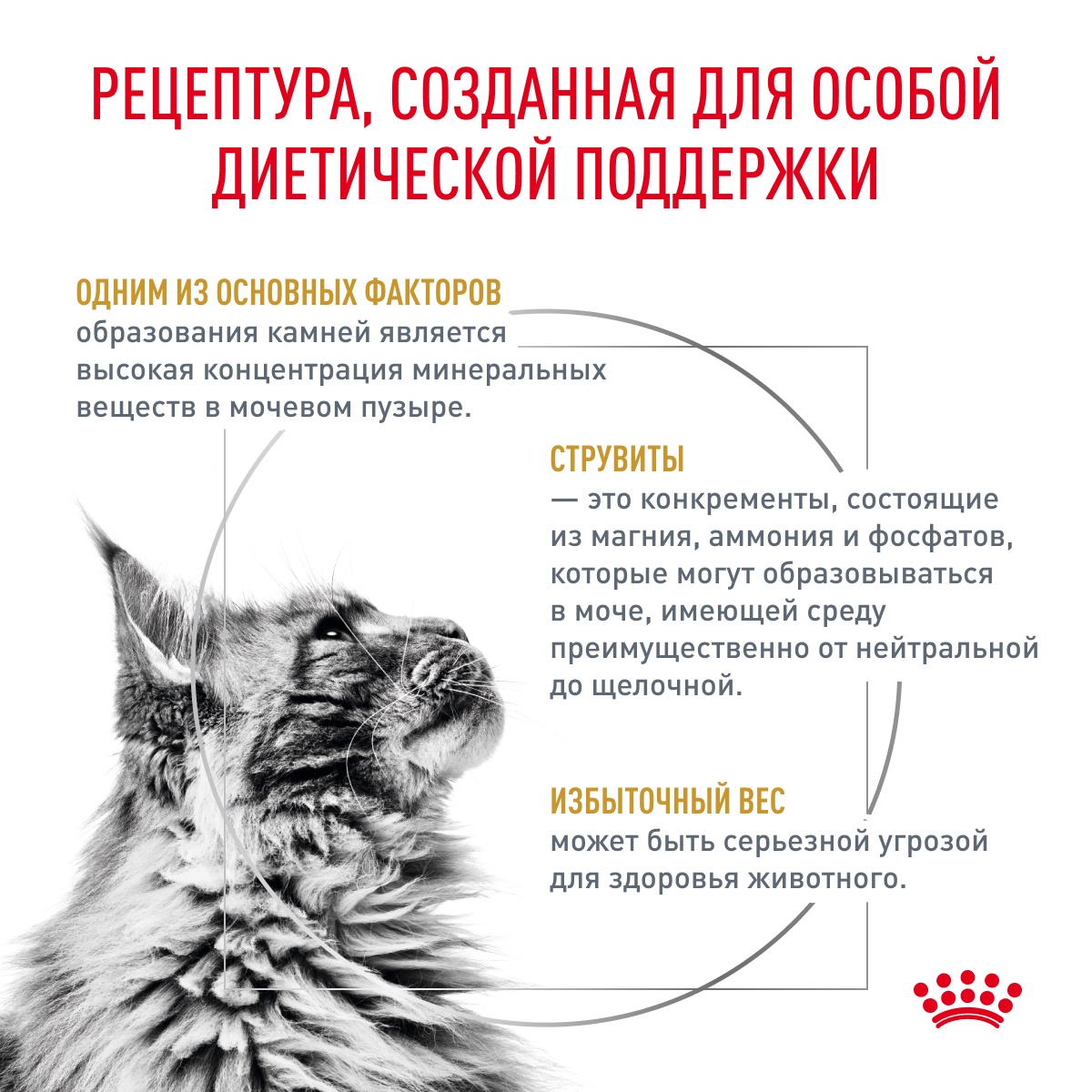 Royal Canin Urinary S/O Moderate Calorie пауч для кошек 85 г 2