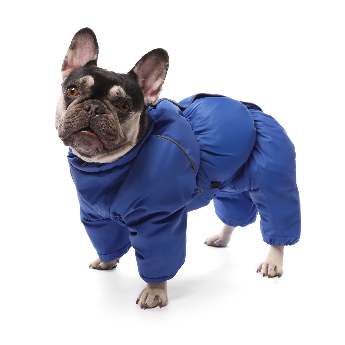 Комбинезон Gamma Французский бульдог зимний синий для собак 41 см