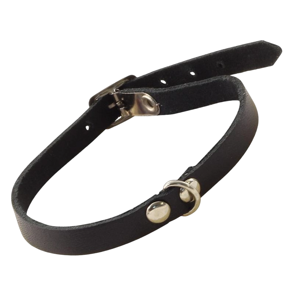 Ошейник Гамма с кольцом искусственная кожа черный для собак 1*30 см
