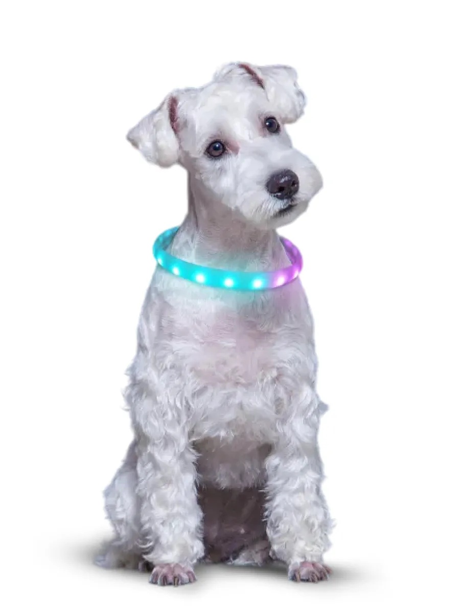 Ошейник Чистый котик светящийся USB силикон 4