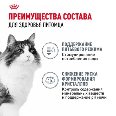 Royal Canin Urinary Care в соусе пауч для кошек 85 г 3