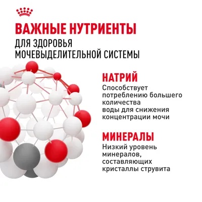 Royal Canin Urinary Care в соусе пауч для кошек 85 г 5