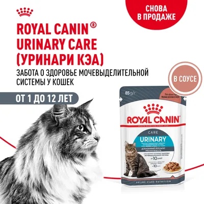 Royal Canin Urinary Care в соусе пауч для кошек 85 г 2
