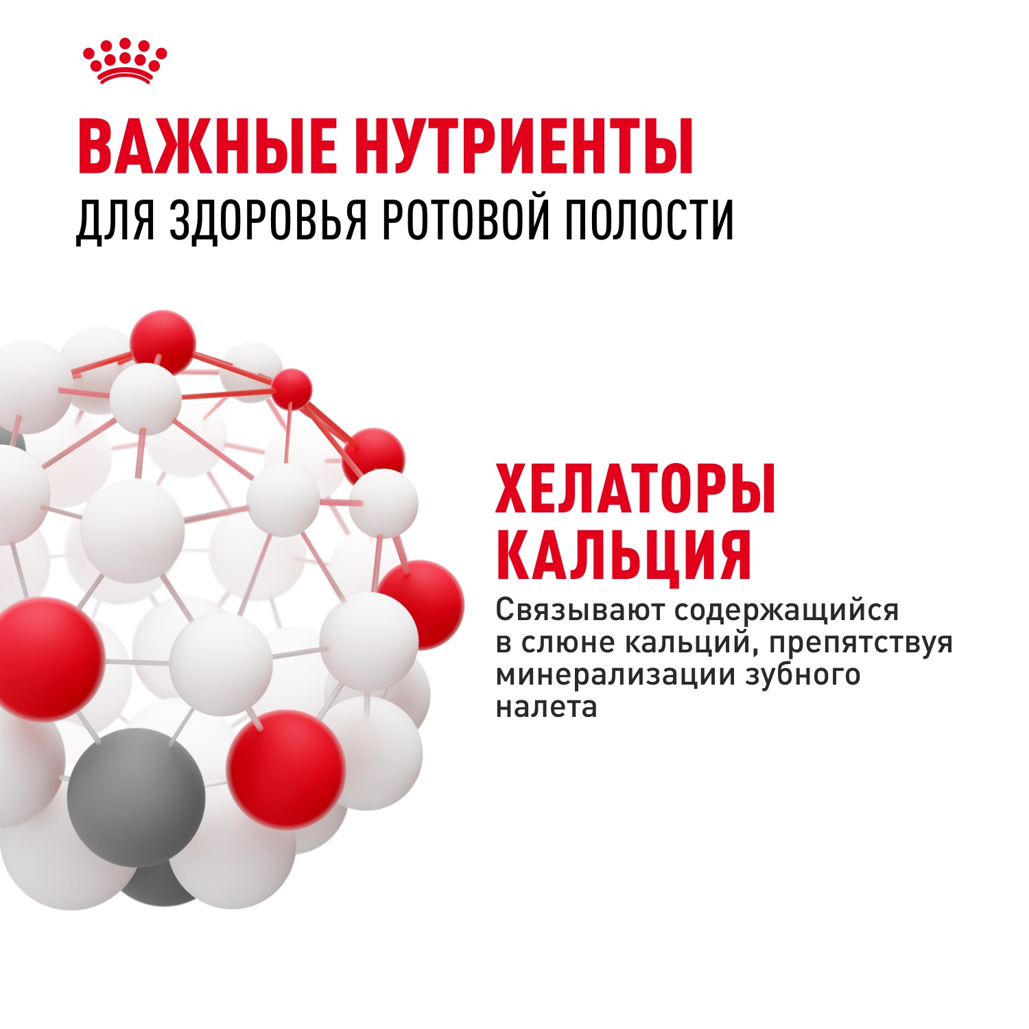 Royal Canin Dental Care для кошек 9