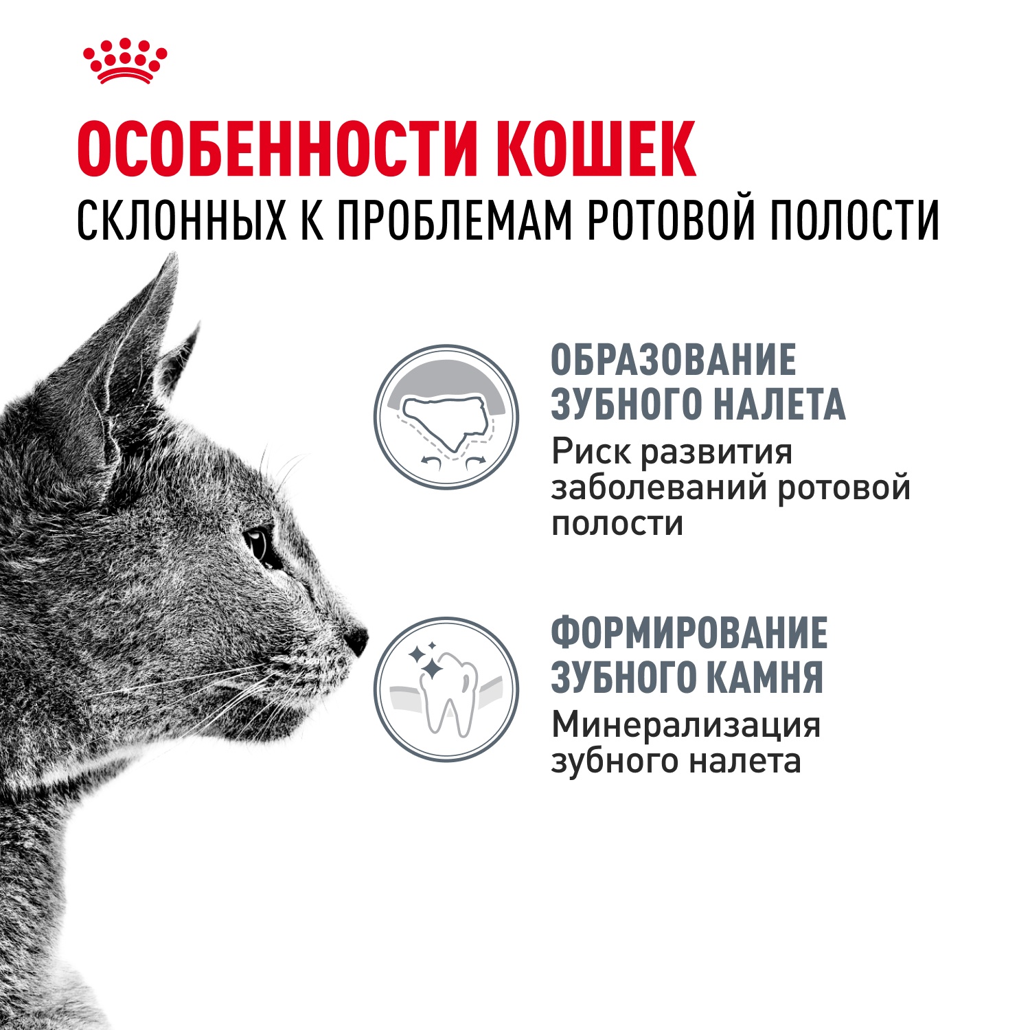 Royal Canin Dental Care для кошек 4