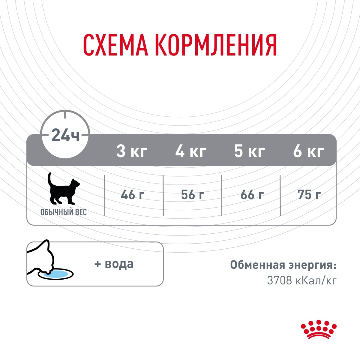 Royal Canin Dental Care для кошек 6