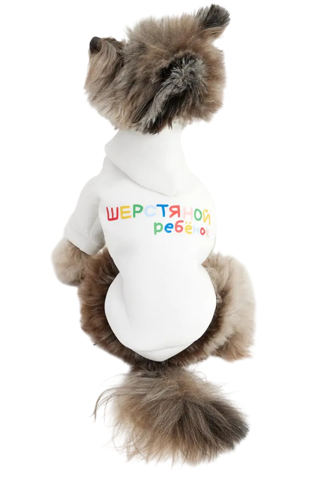 Толстовка Lion Ребенок LPK-0425 белая для собак