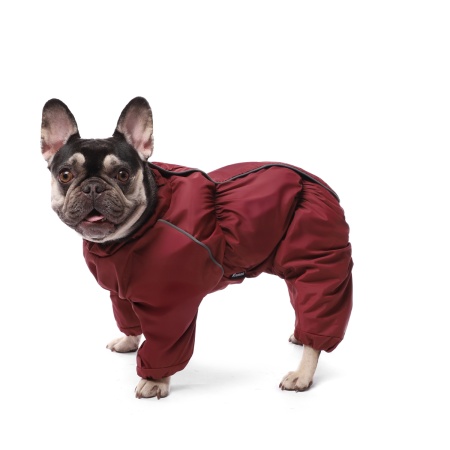 Комбинезон Гамма Французский бульдог демисезонный бордо для собак S 36 см