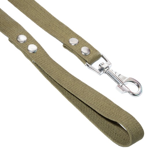 Поводок Гамма брезент зеленый для собак 2*500 см 3