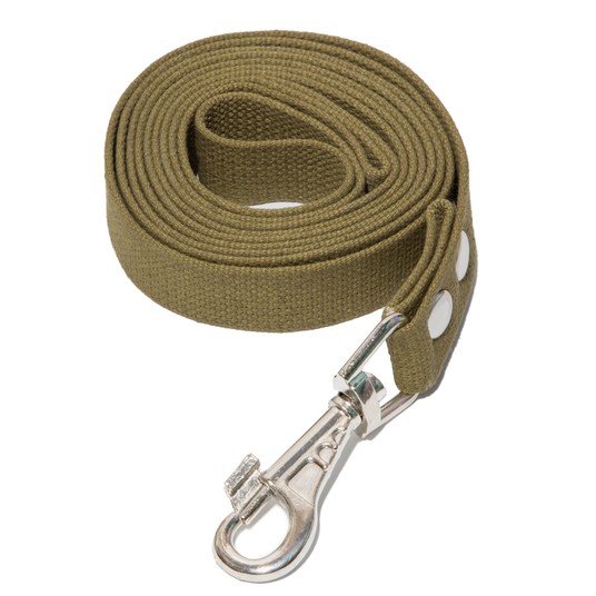Поводок Гамма брезент зеленый для собак 2*500 см 2