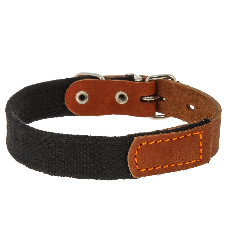 Ошейник Каскад брезент с кожей для собак 2,5*39-46 см