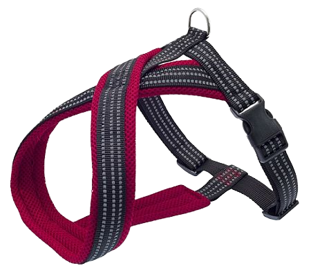 Шлейка Lion Х-образная нейлон c подкладкой красная для собак 1,5*26*34-45 см