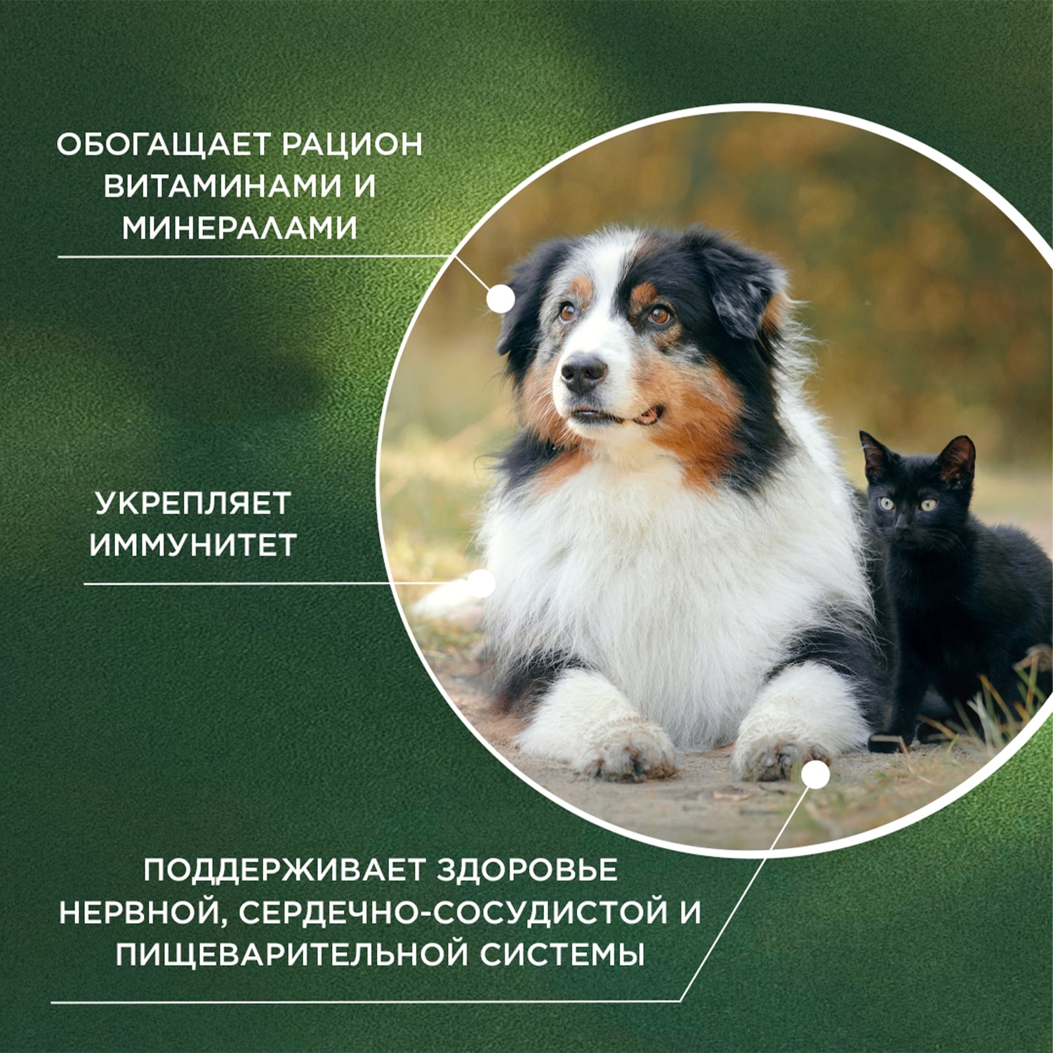 Витамины ProPhyto Мультивитамин таблетка для животных 40 шт 6