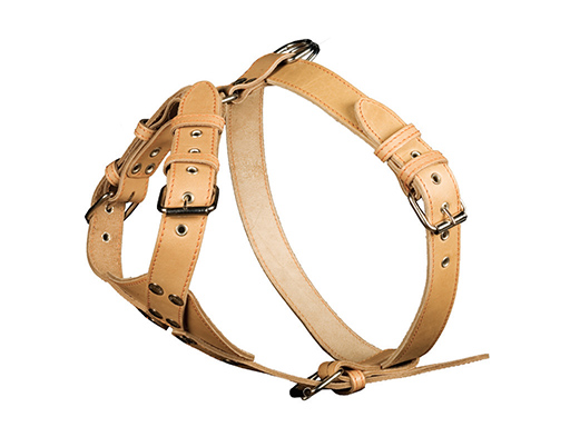 Шлейка Каскад кожаная однослойная с треугольником для собак 3,5*48-68*85-95 см