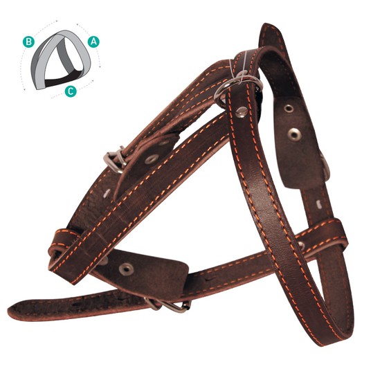 Шлейка Гамма кожаная натуральная кожа для собак 48-54 см