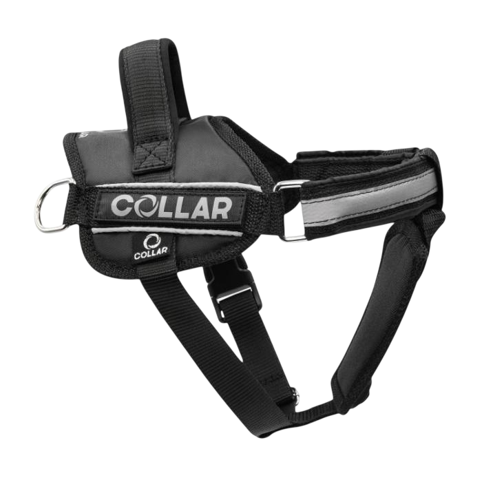 Шлейка Marli Анатомическая H-образная фастекс красный M для собак 2*40-70/50-80 см