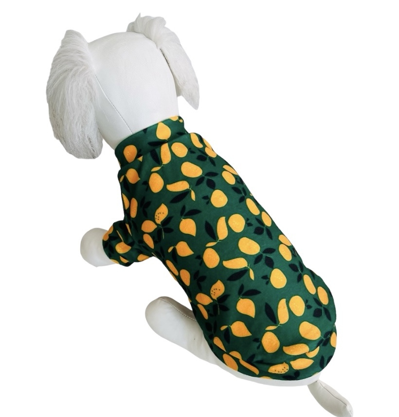 Толстовка PetFashion Абрикос зеленый для собак