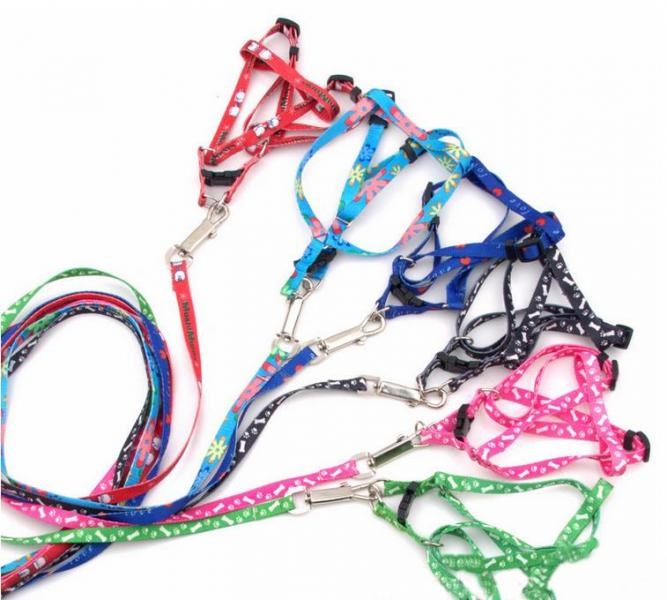Комплект Pet Fashion Эконом Поводок и шлейка для животных 1,5 см