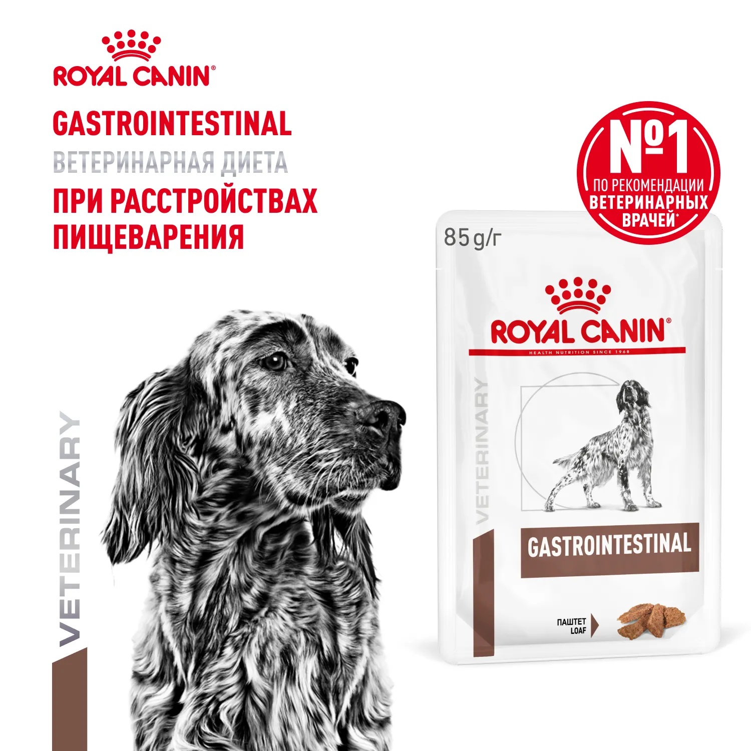 Royal Canin Gastro Intestinal Adult паштет пауч для собак 85 г 1