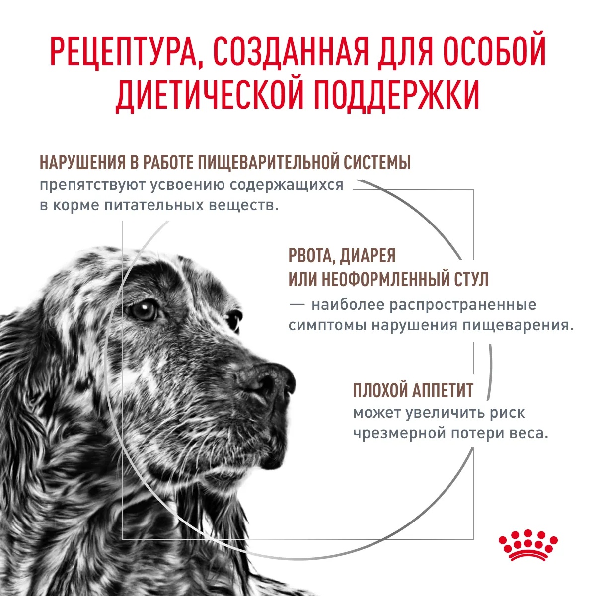 Royal Canin Gastro Intestinal Adult паштет пауч для собак 85 г 2