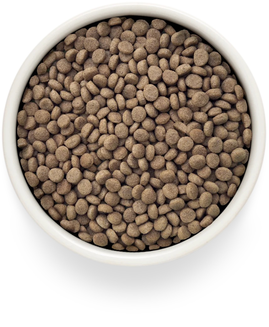 Grandorf Veterinary Diet Urinary S/O Индейка для кошек 3
