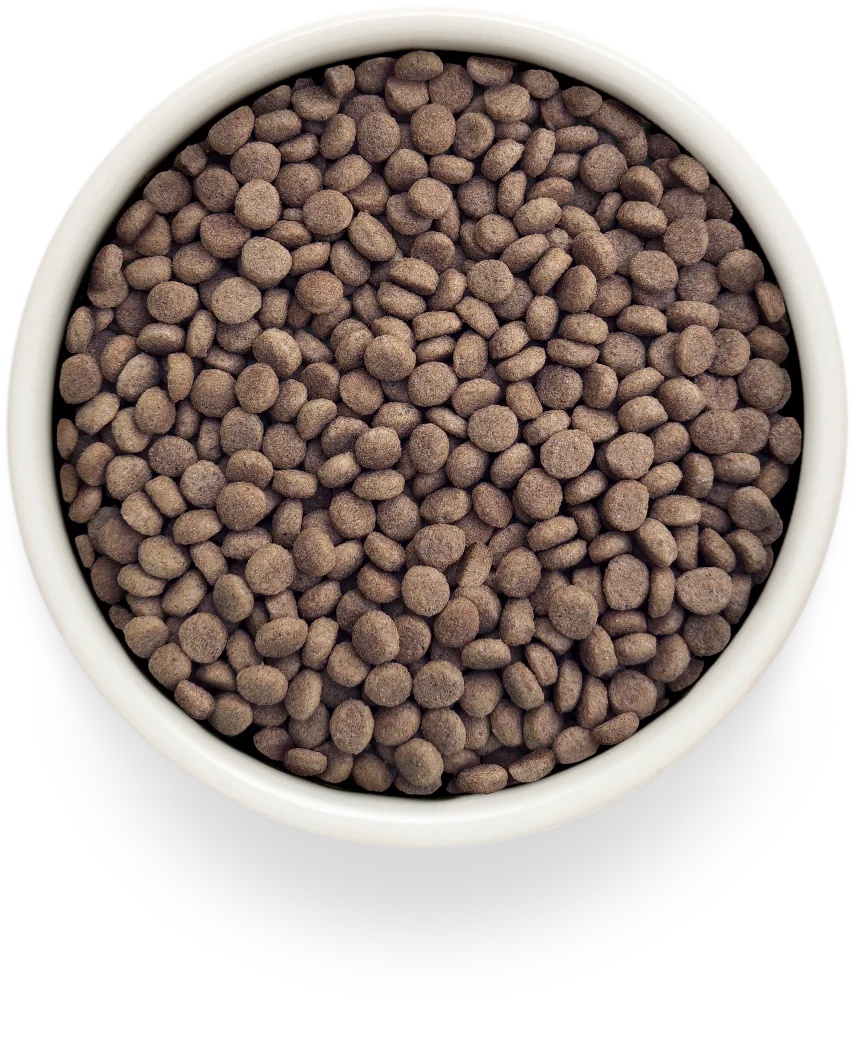 Grandorf VetDiet Hypoallergenic Кролик для кошек 3