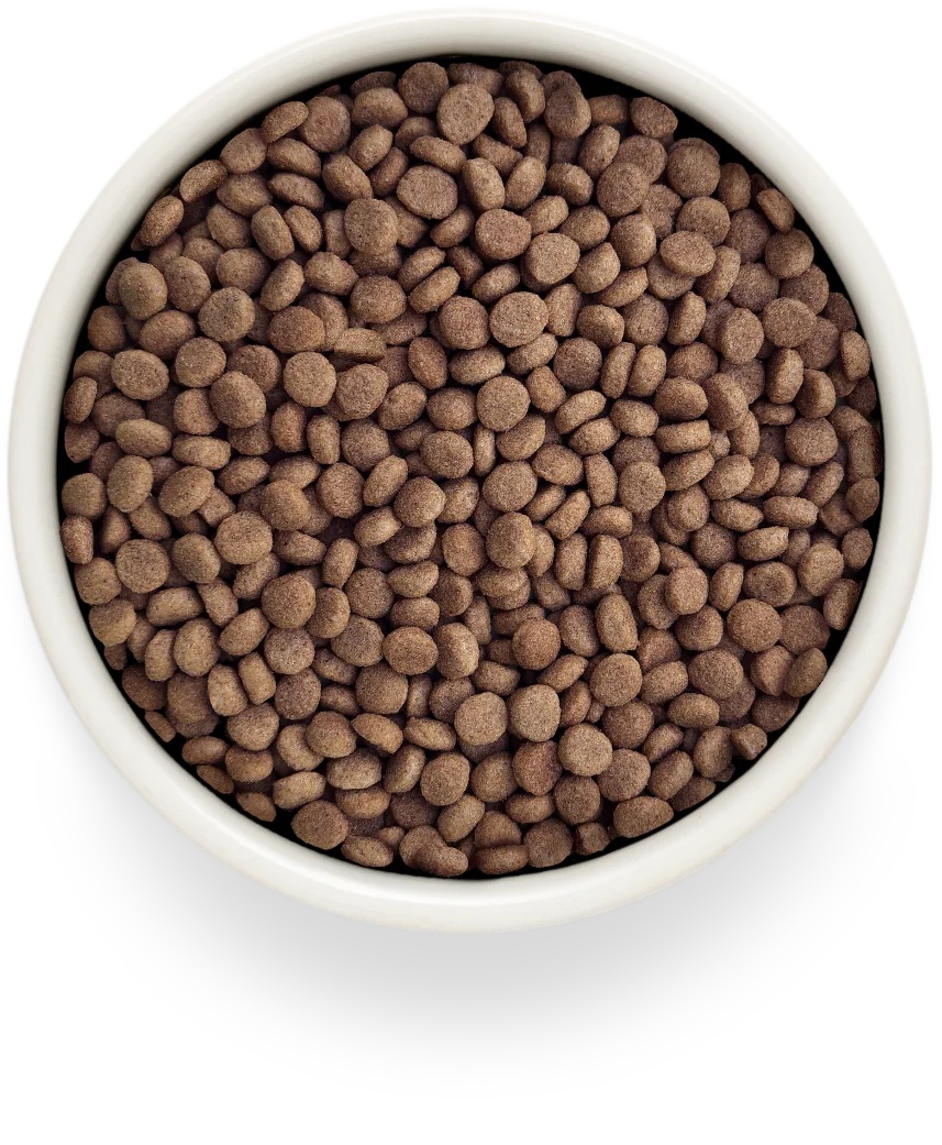 Grandorf Veterinary Diet Gastrointestinal Индейка для кошек 3