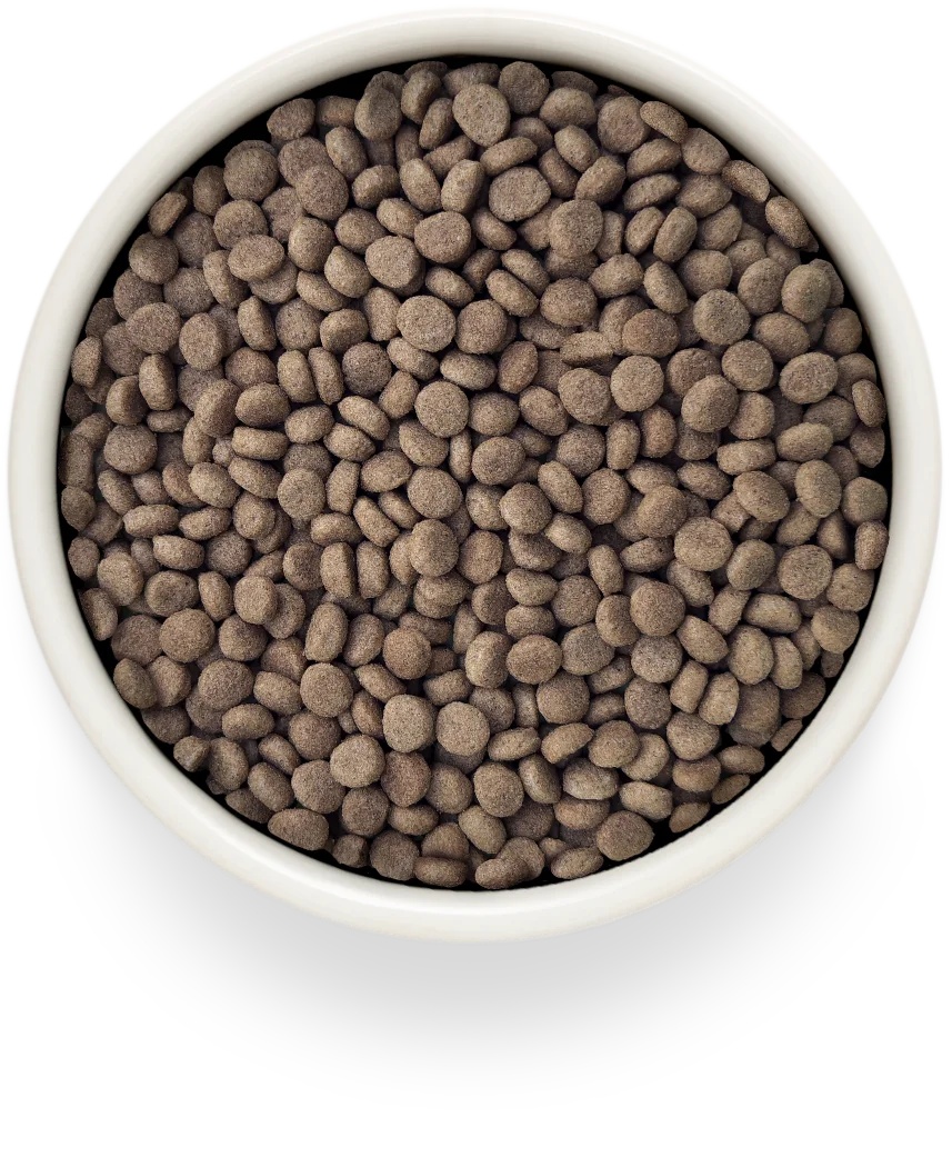 Grandorf Veterinary Diet Urinary S/O Moderate Calorie Индейка для кошек 3