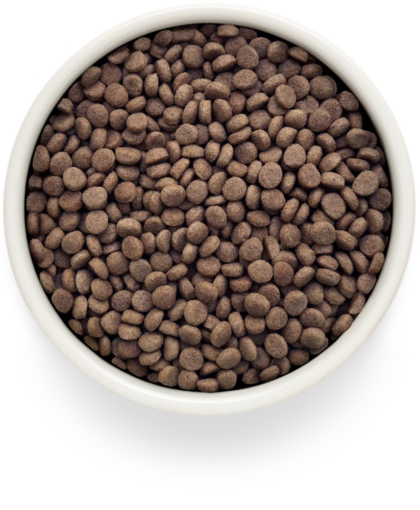 Grandorf Veterinary Diet Hepatic Индейка для кошек 3