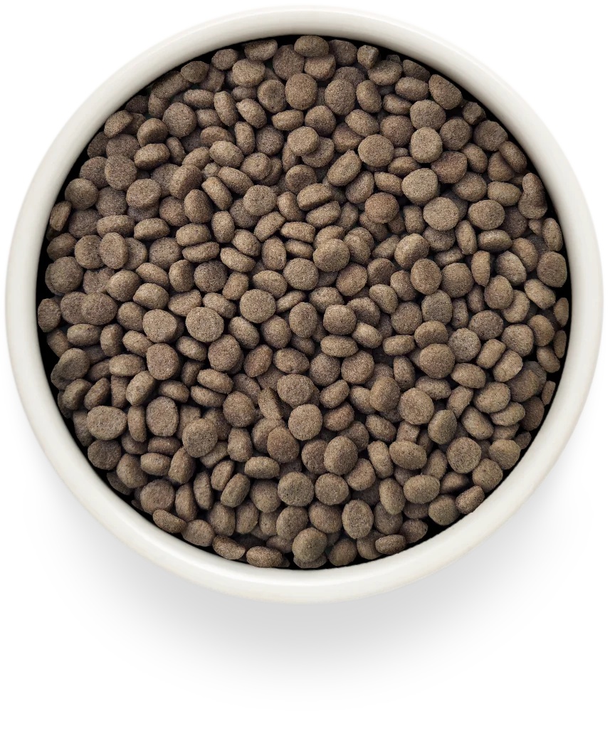 Grandorf Veterinary Diet Renal Индейка для кошек 3