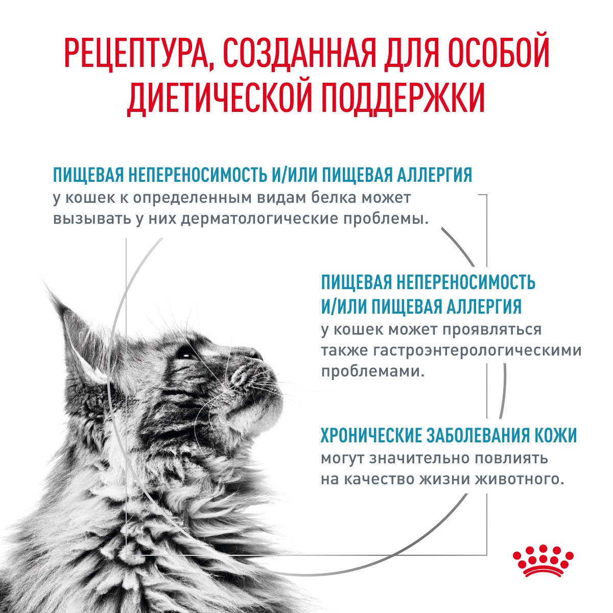 Royal Canin Sensitivity Control Курица/Рис пауч для кошек 85 г 3