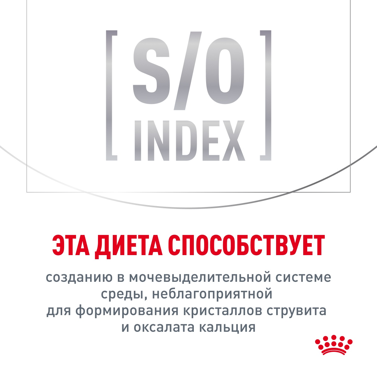 Royal Canin Sensitivity Control Курица/Рис пауч для кошек 85 г 10