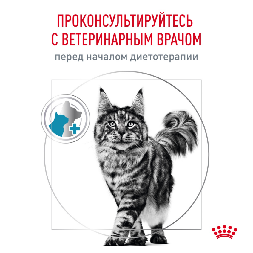 Royal Canin Sensitivity Control Курица/Рис пауч для кошек 85 г 11
