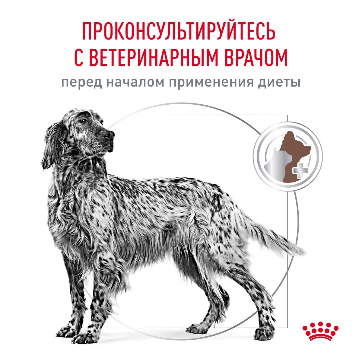 Royal Canin Gastro Intestinal Adult паштет пауч для собак 85 г 9
