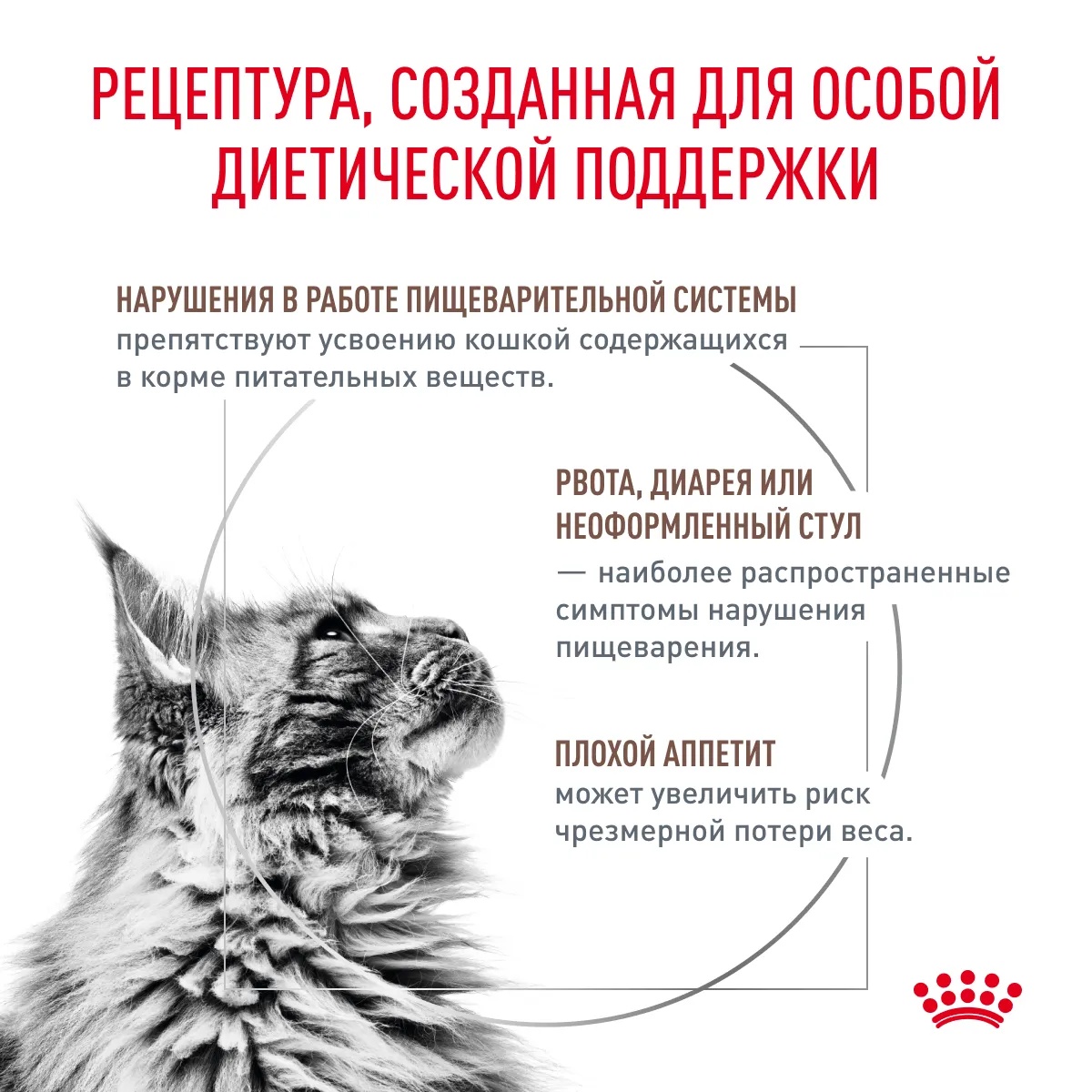 Royal Canin Gastrointestinal для кошек 3