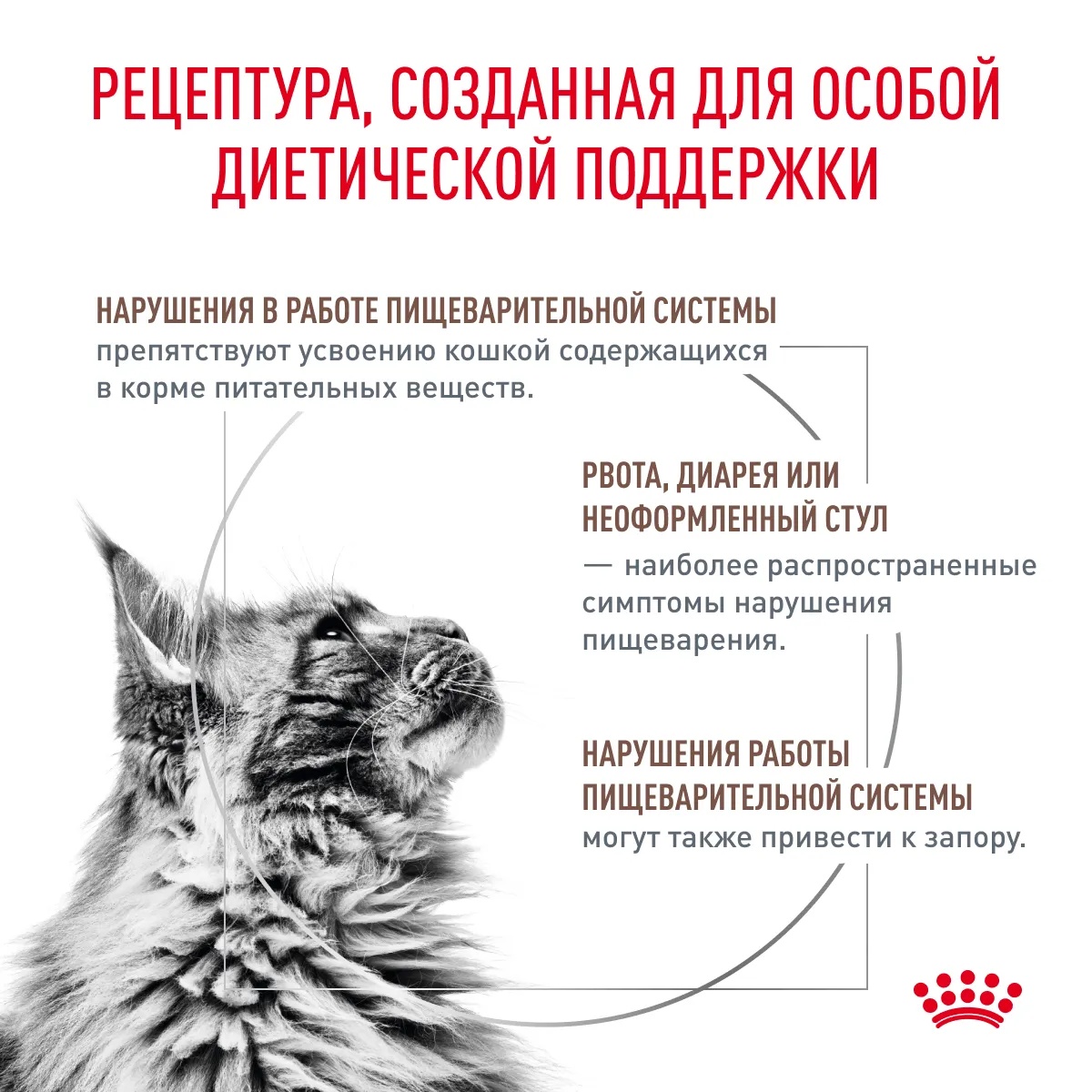 Royal Canin Gastrointestinal Fibre Response для кошек 3