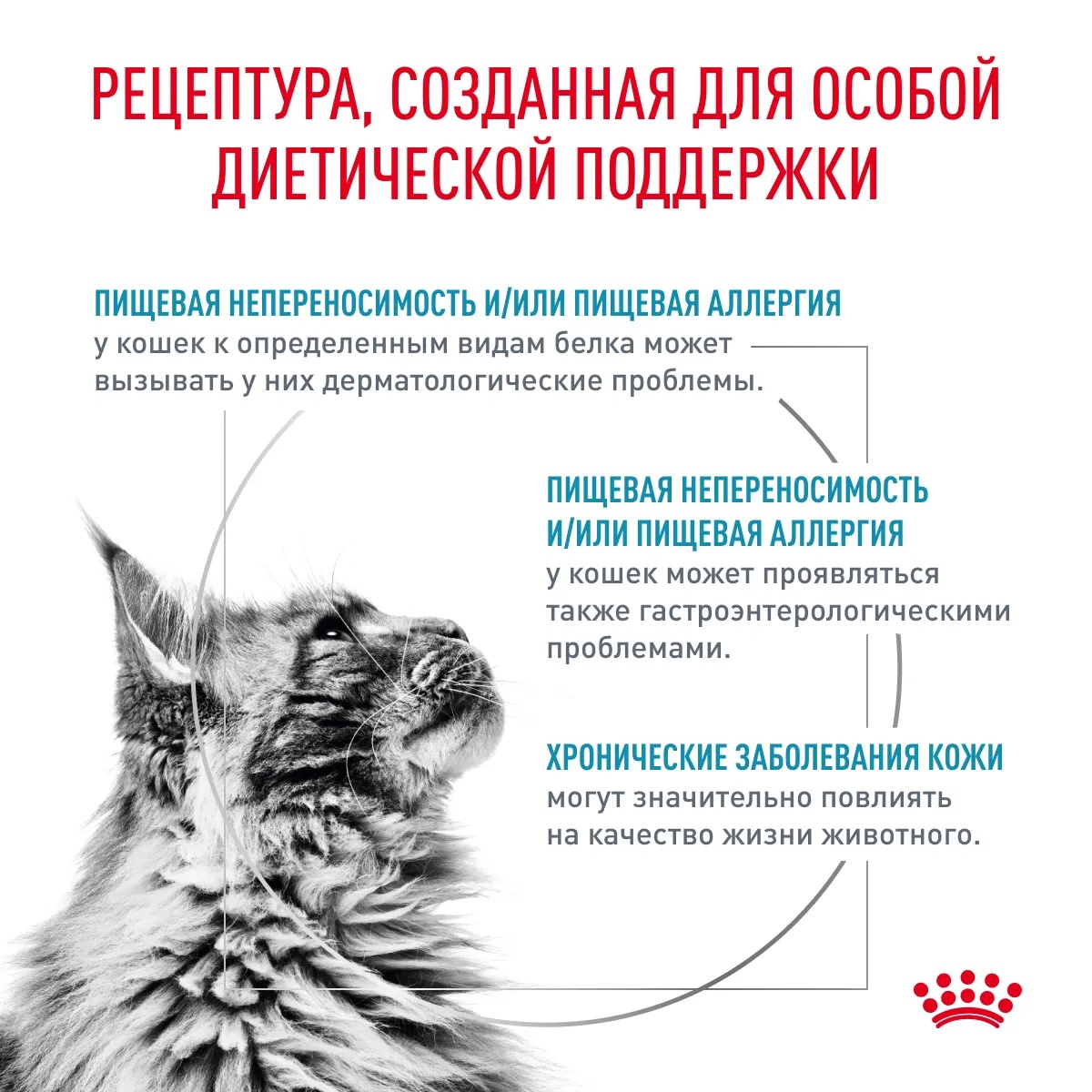 Royal Canin Hypoallergenic для кошек 3